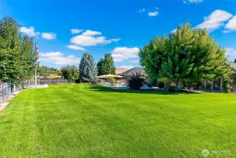 Side Yard