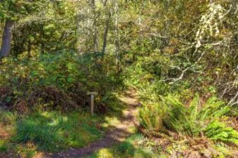One of the many trailheads in the neighborhood.