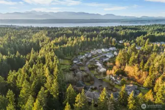 Aerial view of a quiet, wooded neighborhood setting. Come tour today!