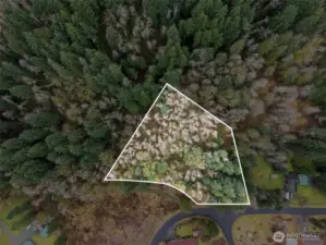 White lines are approximate.