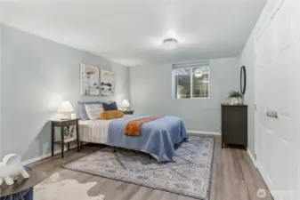 Lower level bedroom