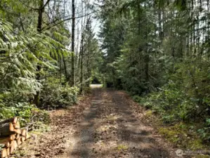 This drive in to the house is really serene. You can feel the stress melting away.