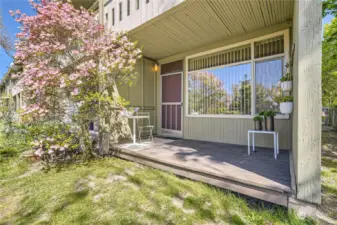 Patio Deck