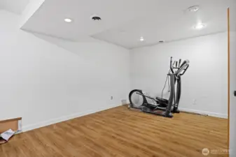 Downstairs bonus living space.