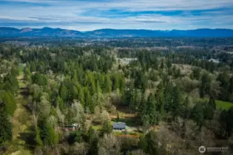 Maple Valley, look for 3-D tour / Matterport attached to listing.