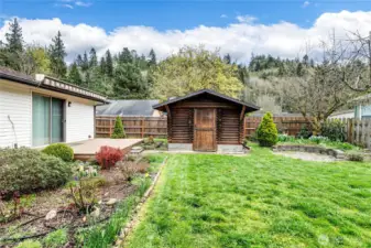 Log Cabin/Chicken Coop