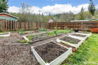 Raised Garden Beds
