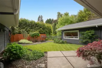 Side Yard South