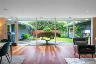 Living/Dining