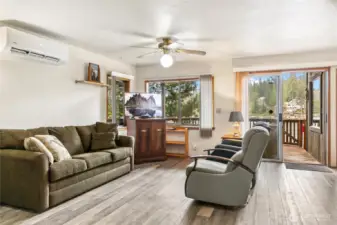 A closer look reveals the mini-split system for comfort year-round. Sliding doors lead to the covered deck and down to the lake.