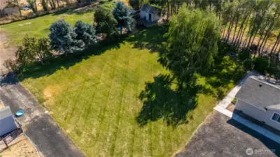 Beautiful yard