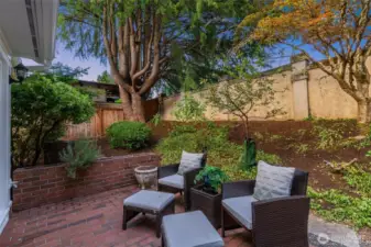 Low maintenance serene backyard.