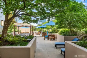 The 3rd floor terrace feels like a private sanctuary.