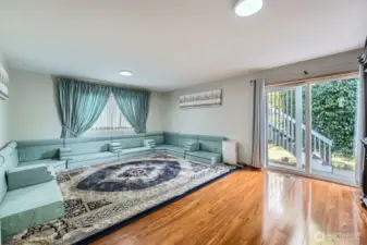 Lower level living room