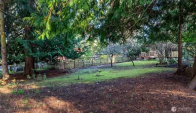 Spacious backyard features mature landscaping