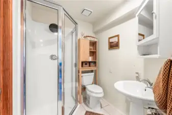 Bathroom in daylight basement