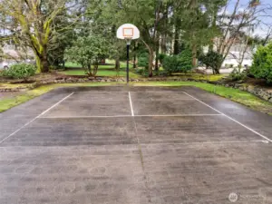 Enchanted Island sports court with lighting!