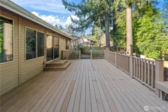 Deck off sunroom - freshly finished and   nearly 400 sq ft