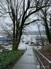 Stair path takes you straight down to the boat launch