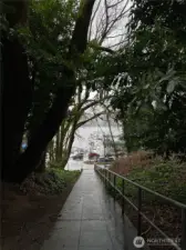 Stair path takes you straight down to the boat launch