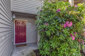 Private outside entrance.