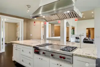 Wolf gas range with griddle