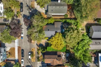Aerial view of house, garden and 26th Ave NE.