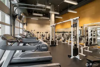 Full size gym.