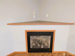 Propane Fireplace