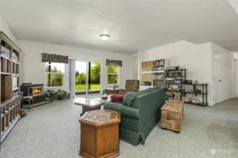 Lower level family room