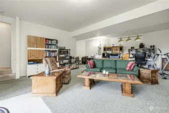 Lower level family room