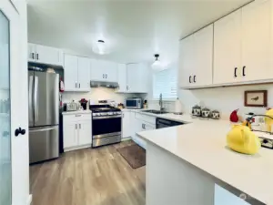 Kitchen with new appliances and a walk-in pantry