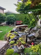 Summer picture of back yard