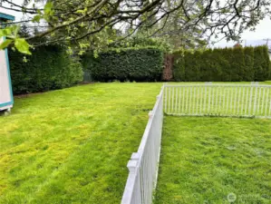 Part Of The Back Yard.Seller Had Puppy So Added The Small Fencing. Can Easily Be Removed.