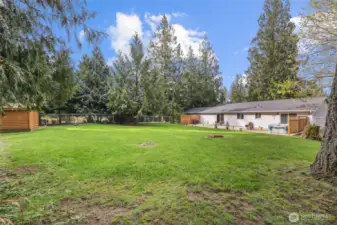 Fluffy would like this yard.