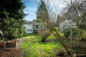 Backyard of 10126 Ne 187th St