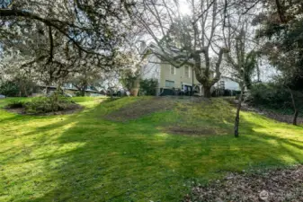 Backyard of 10116 Ne 187th St