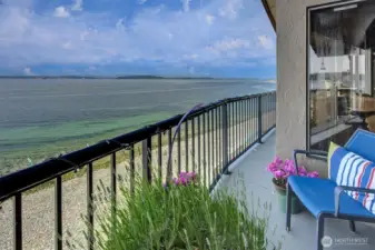 ~view deck