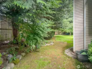 back yard