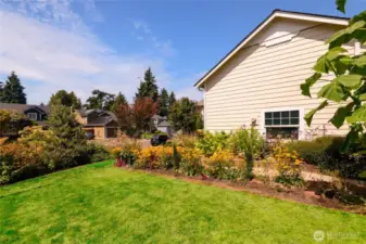 Fabulous side yard with a host of interesting plants and flowers.
