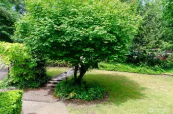 This yard has so much character - you'll love it!