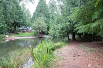 Backyard with lake views.
