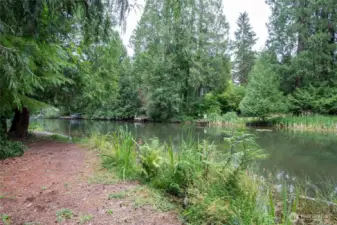 More lake views in the backyard!