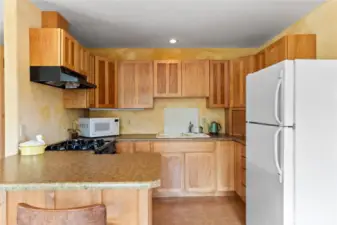 The apartment has its own full kitchen.
