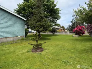 Large side yard.  Crochet anyone?