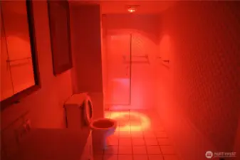 Luxurious heat lamp light.