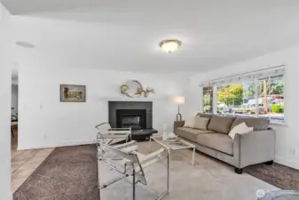 Cozy Electric Fireplace Insert