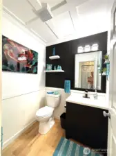 guest bathroom - beautiful ceiling!
