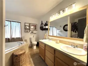master bathroom double sink and soaking tub
