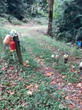 Access beyond Bouy Down road, ready for new driveway